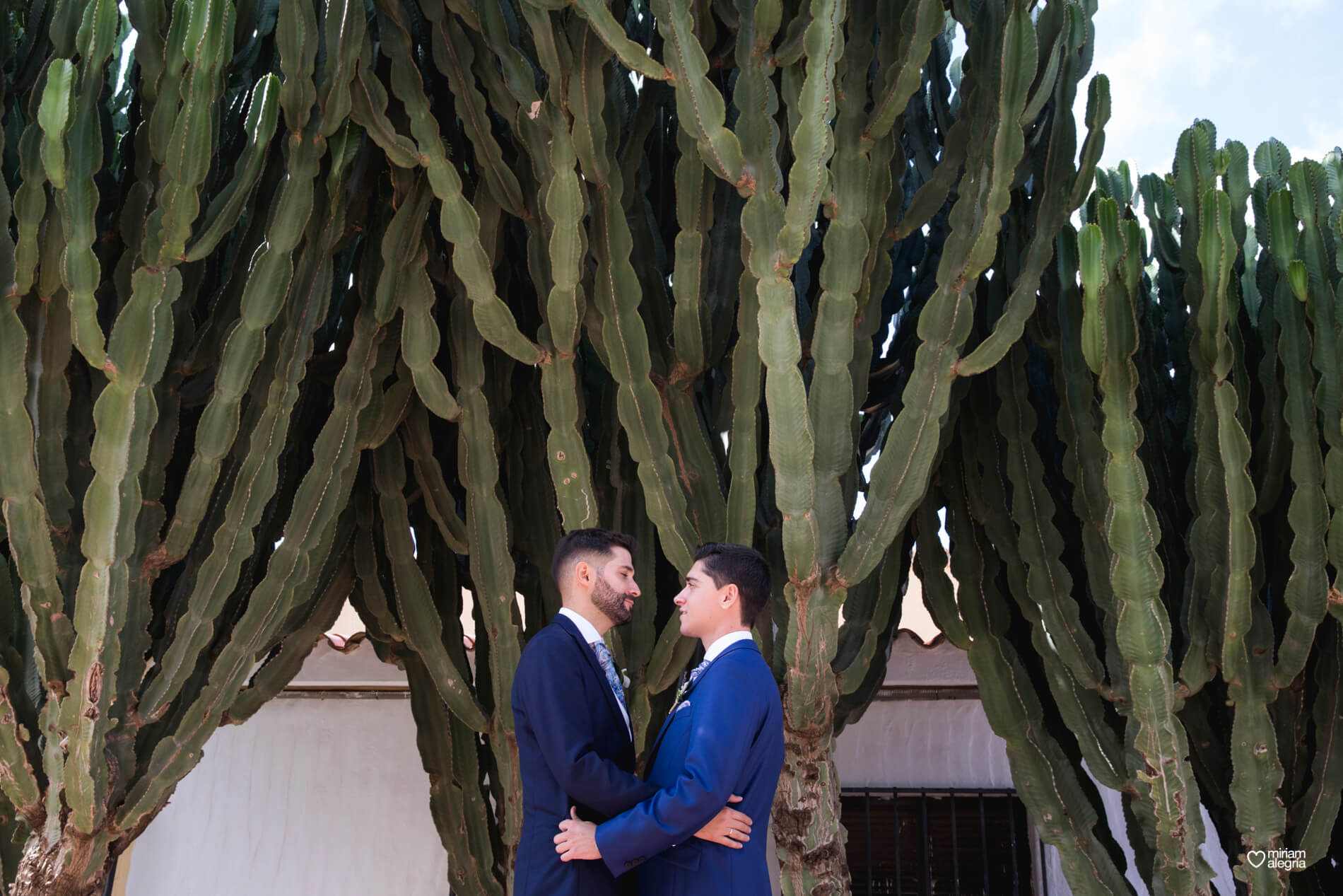 boda-civil-en-el-hidalgo-miriam-alegria-119