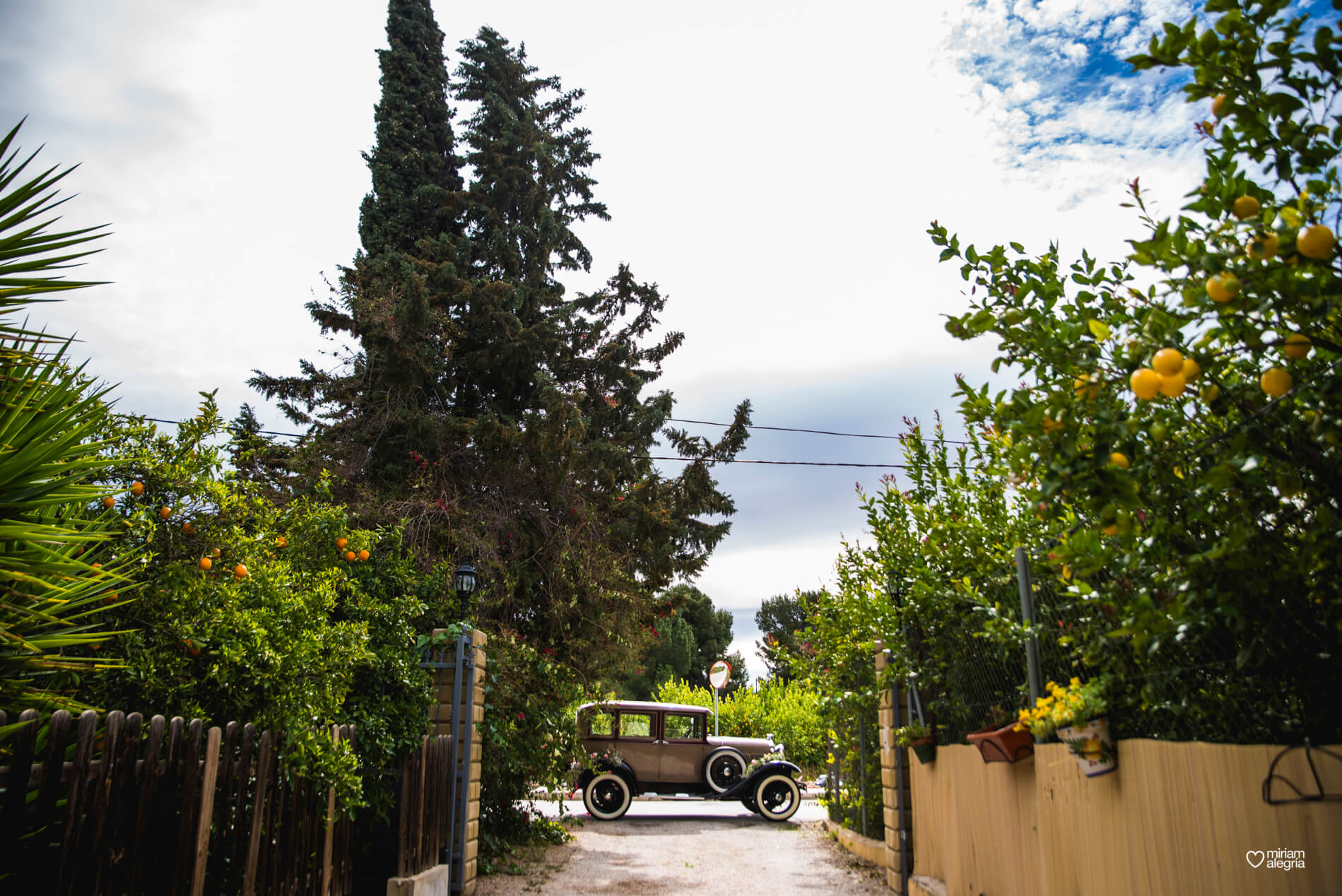 boda-en-el-rincon-huertano-miriam-alegria-fotografos-boda-murcia-8