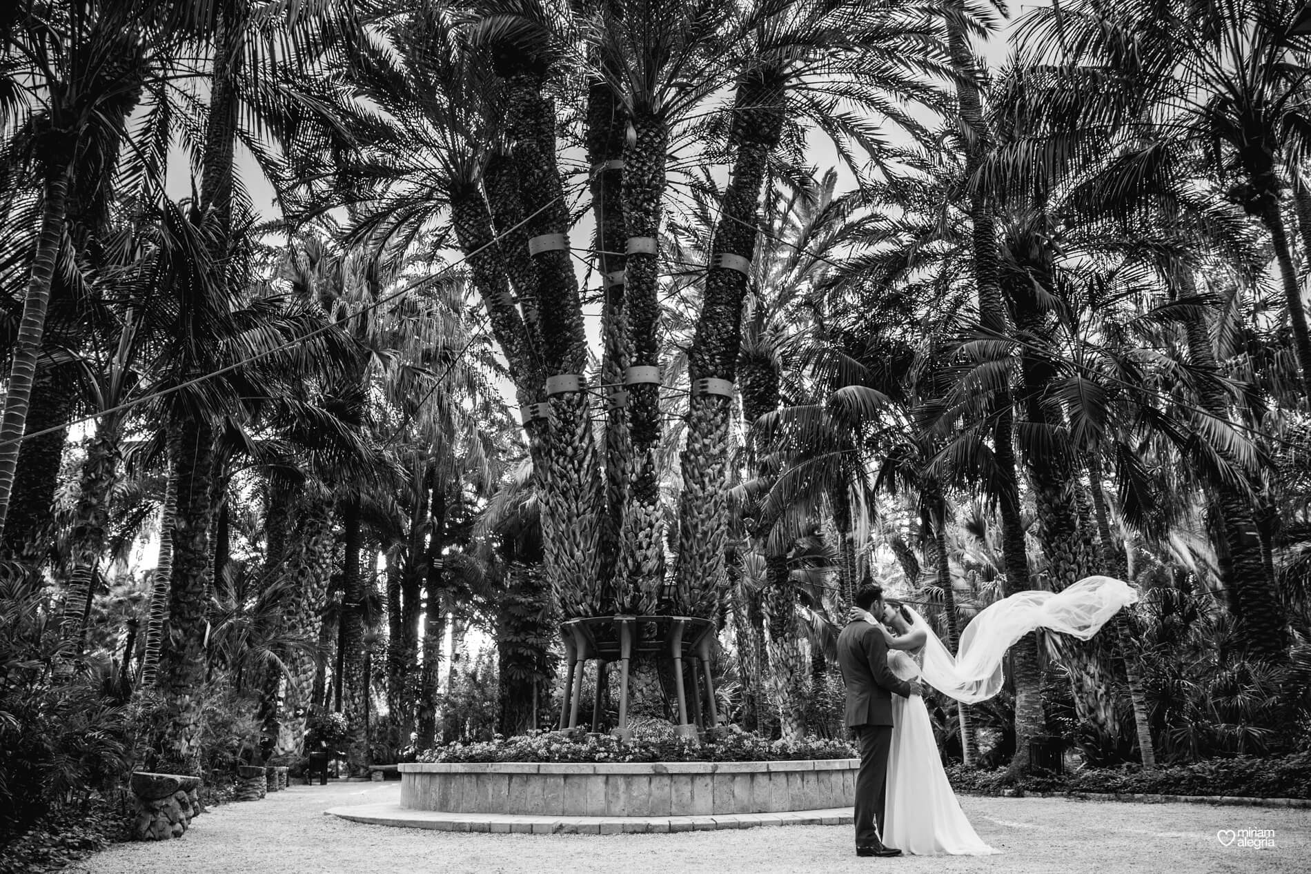 wedding-huerto-del-cura-elche-miriam-alegria-fotografos-boda-27